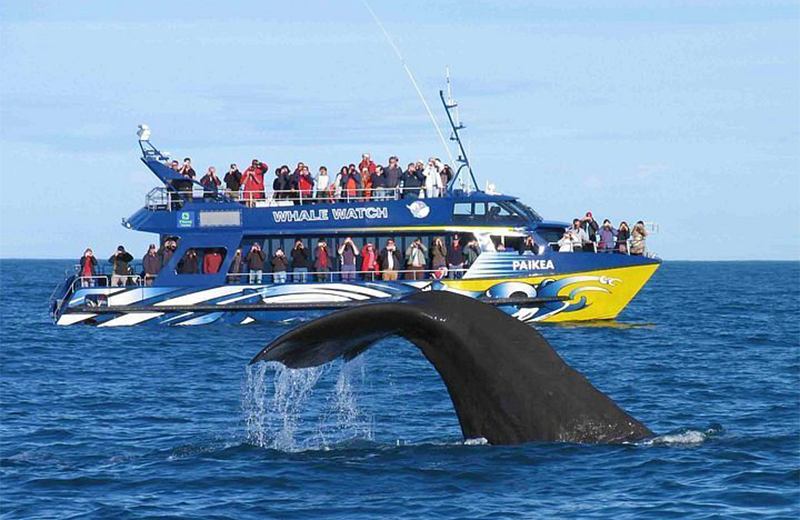 gfthbdrhsbrshbshrwshrsh