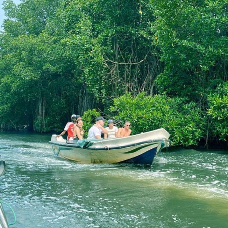 Bentota River Safari