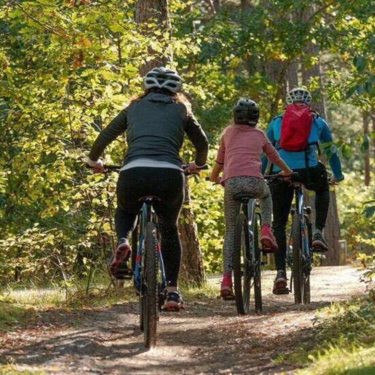 Bentota Village Tour