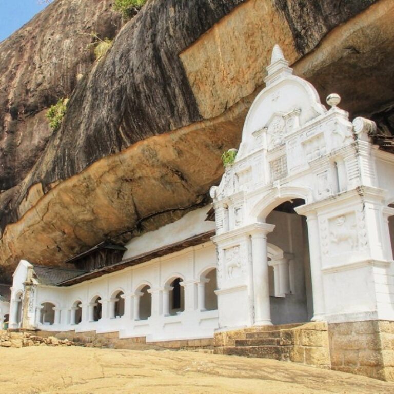 Dambulla Day Tour