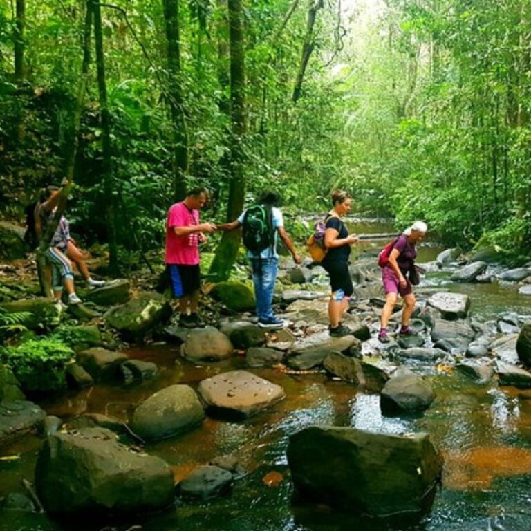 Sinharaja Forest Tour